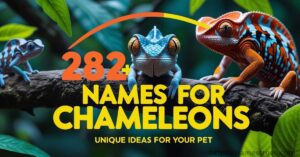 282+ Names for Chameleons Featured Image