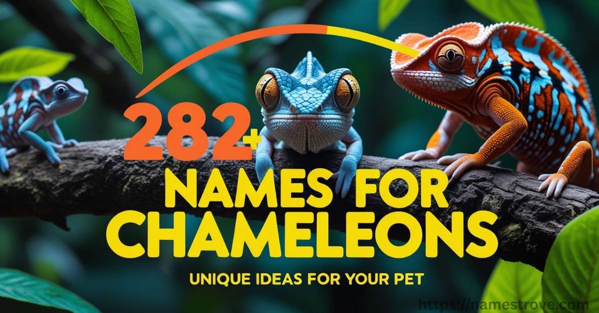 282+ Names for Chameleons Featured Image