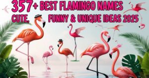 357+ Best Flamingo Names Featured Image