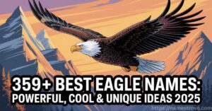 359+ Best Eagle Names Featured Image