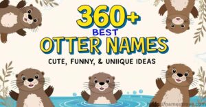 360+ Best Otter Names Featured Image