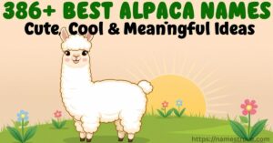 386+ Best Alpaca Names Featured Image