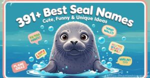 391+ Best Seal Names Featured Image