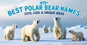 411+ Best Polar Bear Names Featured Image