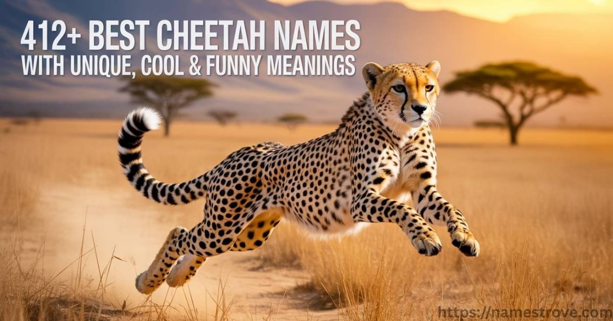 412+ Best Cheetah Names Featured Image