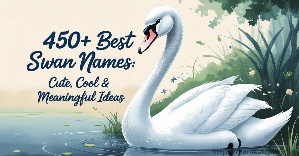 450+ Best Swan Names Featured Image