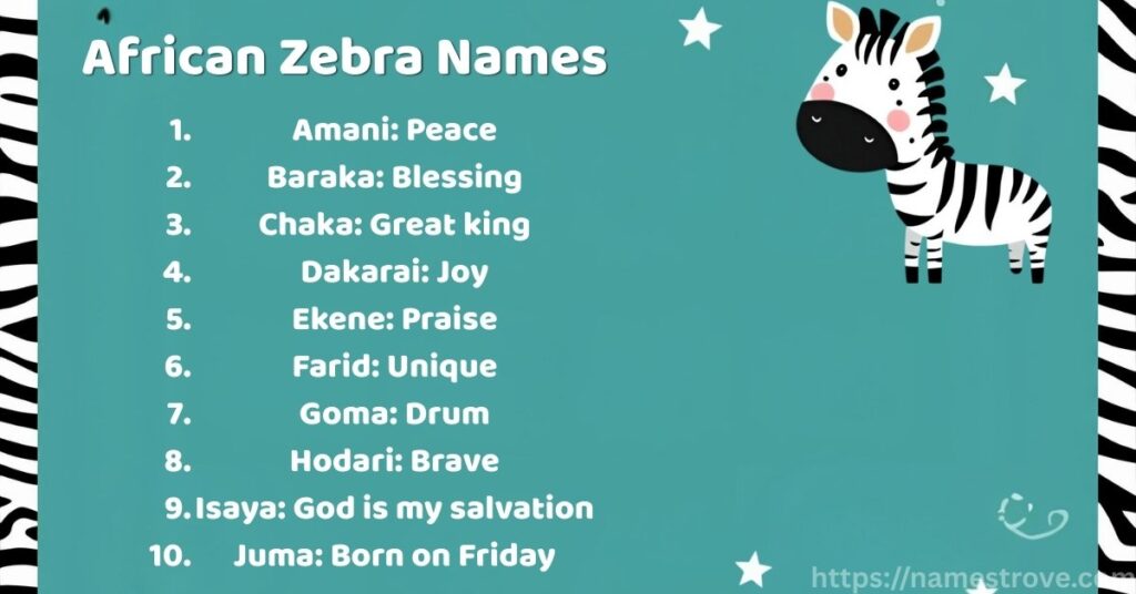 African Zebra Names