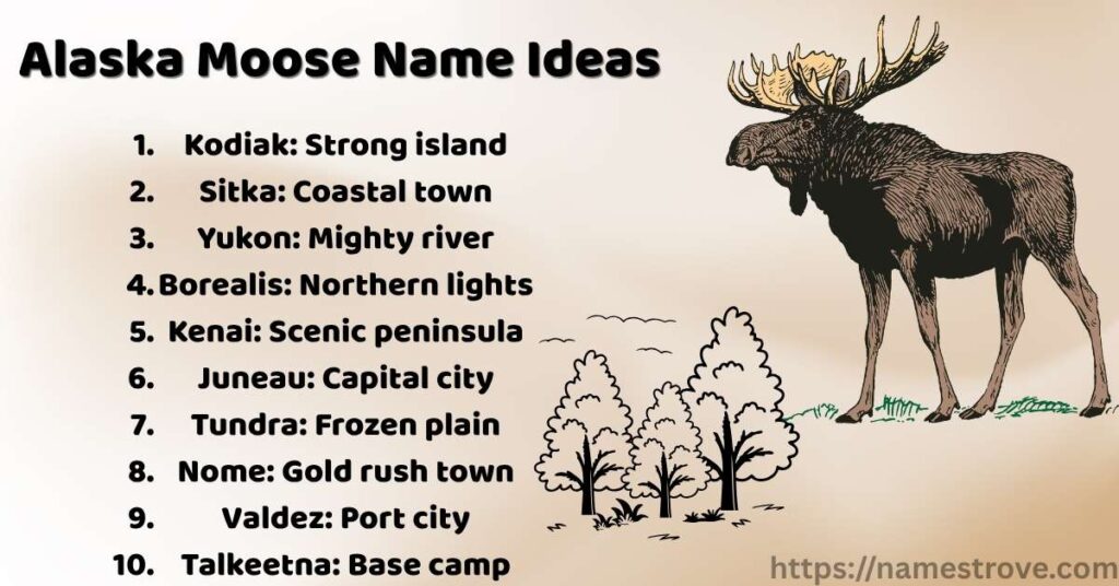 Alaska Moose Name Ideas