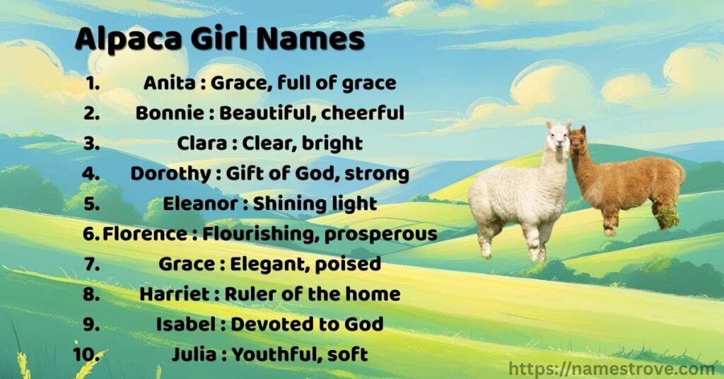Alpaca Girl Names