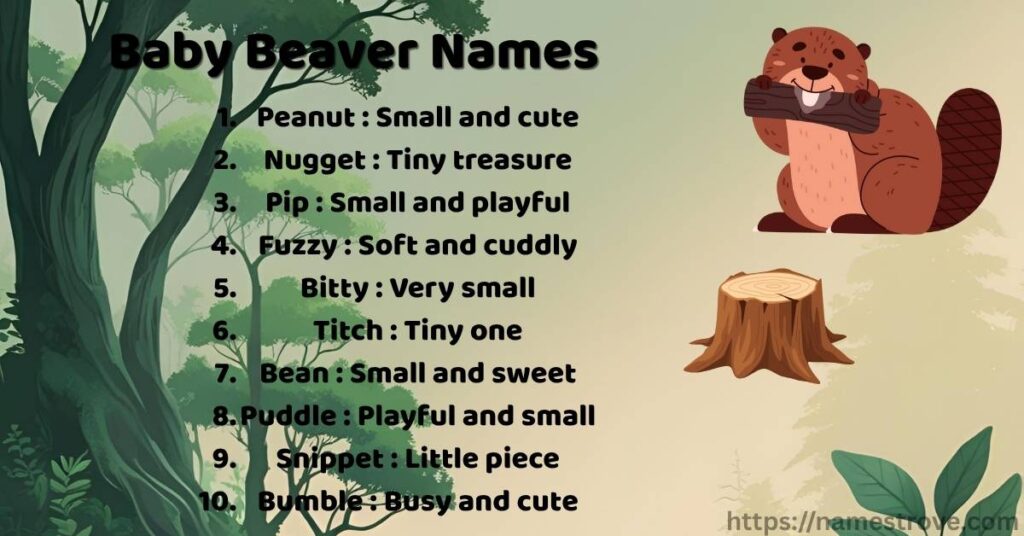 Baby Beaver Names