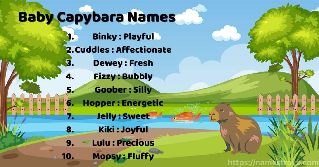 Baby Capybara Names