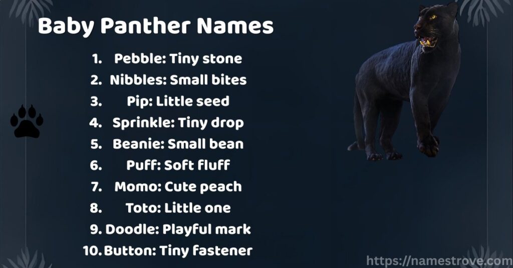 Baby Panther Names