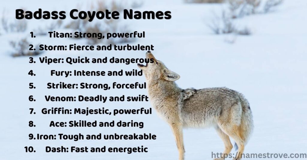 Badass Coyote Names