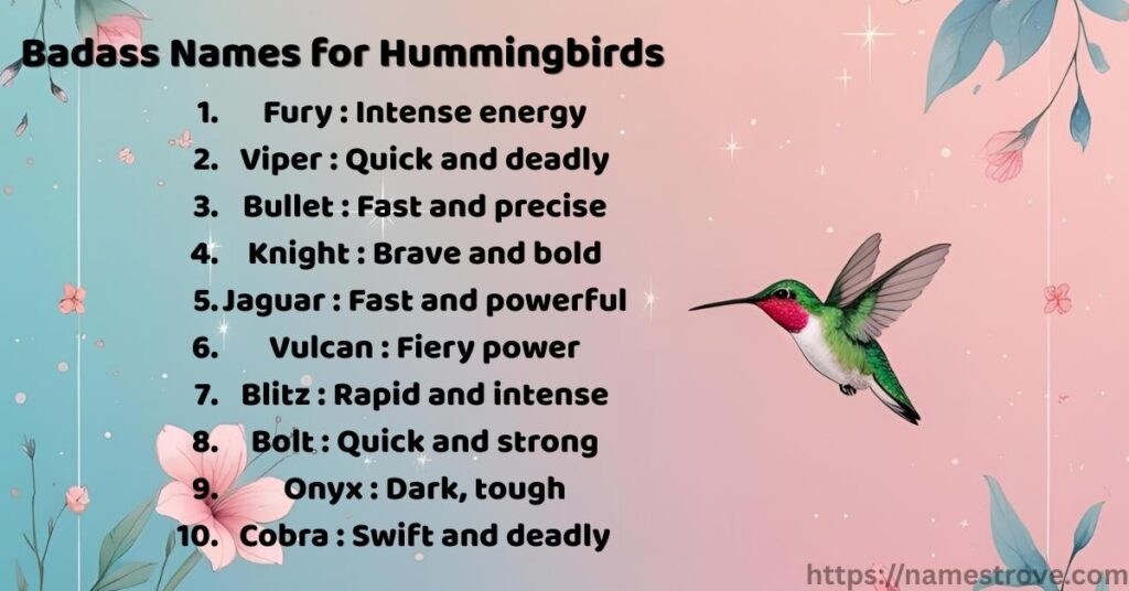 Badass Names for Hummingbirds