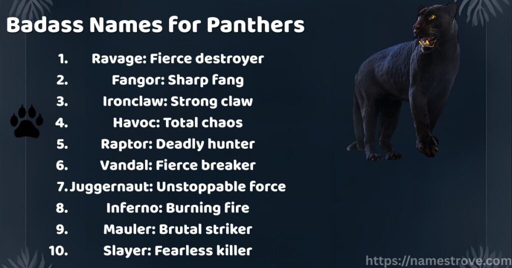 Badass Names for Panthers