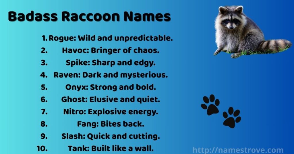 Badass Raccoon Names