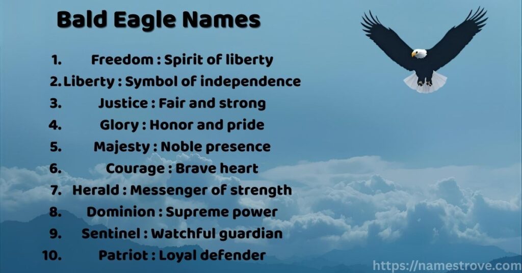 Bald Eagle Names