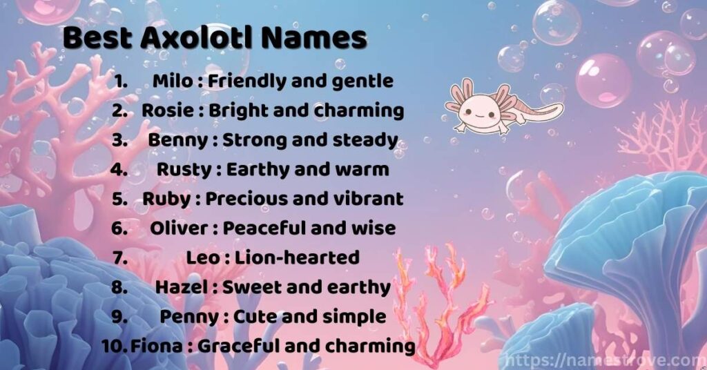 Best Axolotl Names