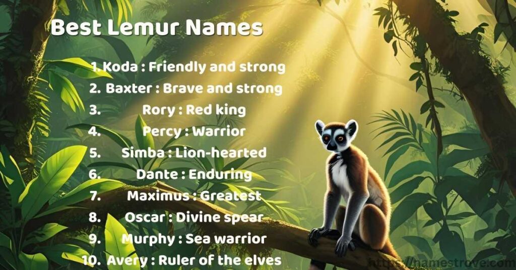 Best Lemur Names