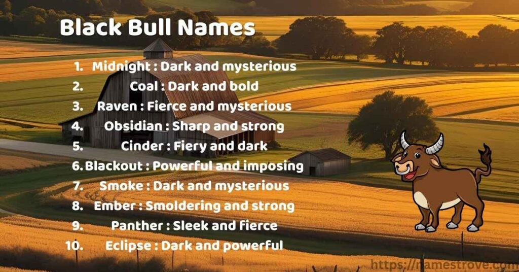 Black Bull Names