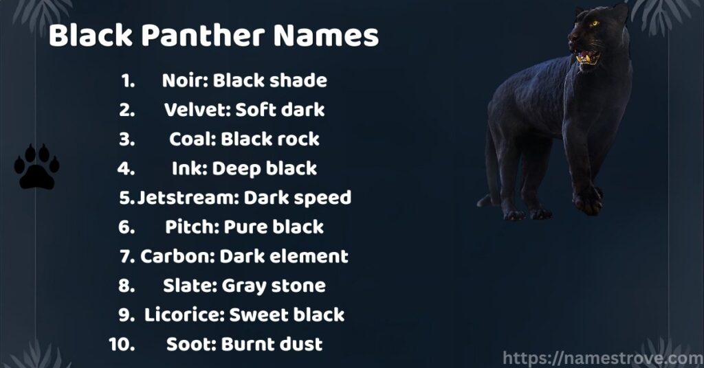 Black Panther Names