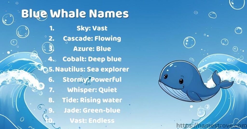 Blue Whale Names