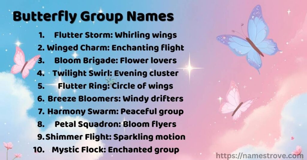 Butterfly Group Names