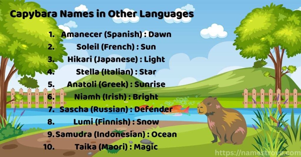 Capybara Names in Other Languages