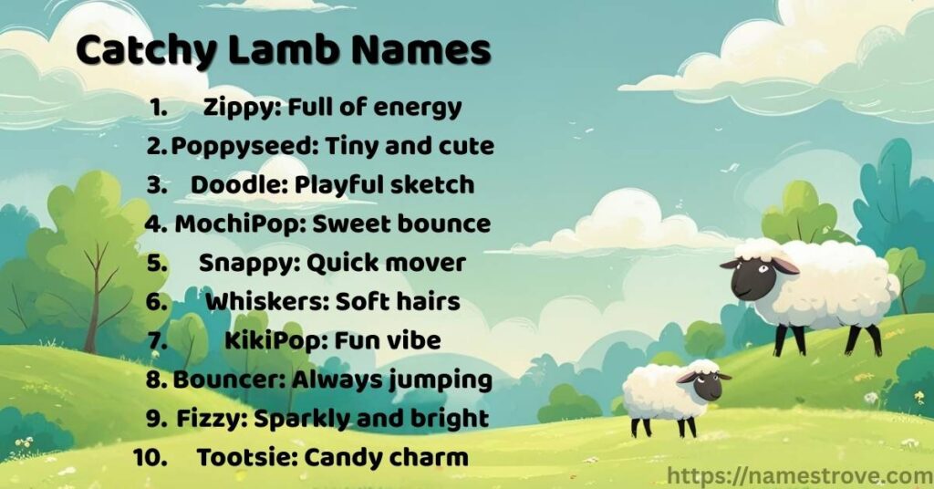 Catchy Lamb Names