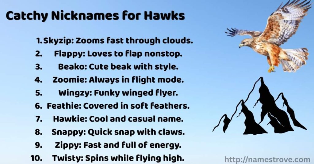 Catchy Nicknames for Hawks