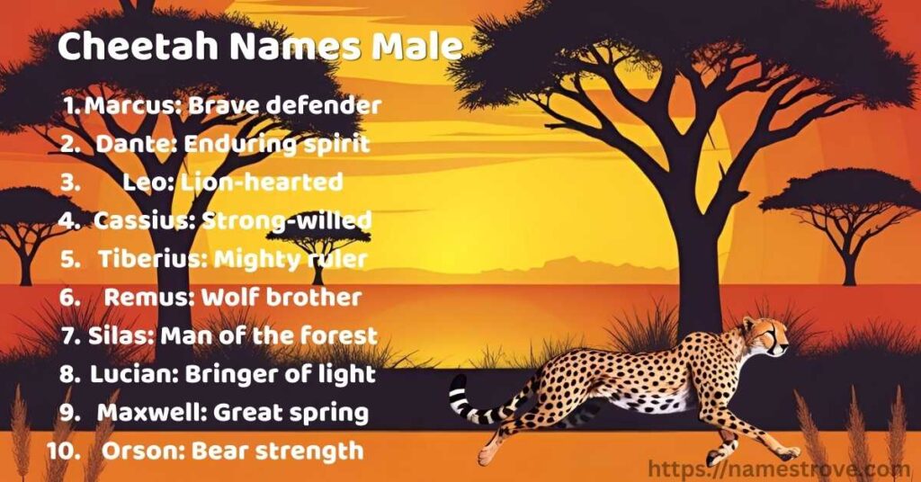 Cheetah Names Male