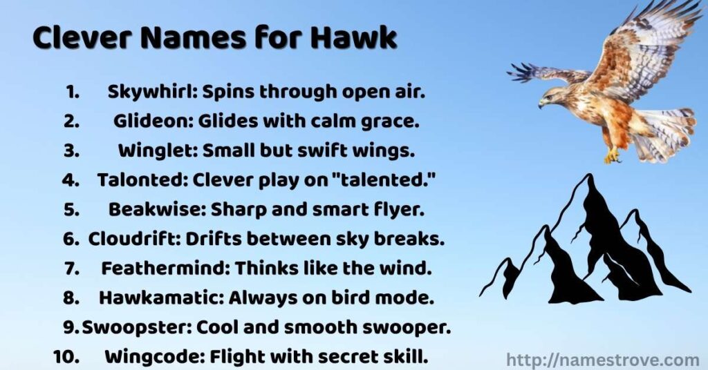 Clever Names for Hawk