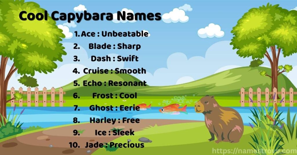 Cool Capybara Names
