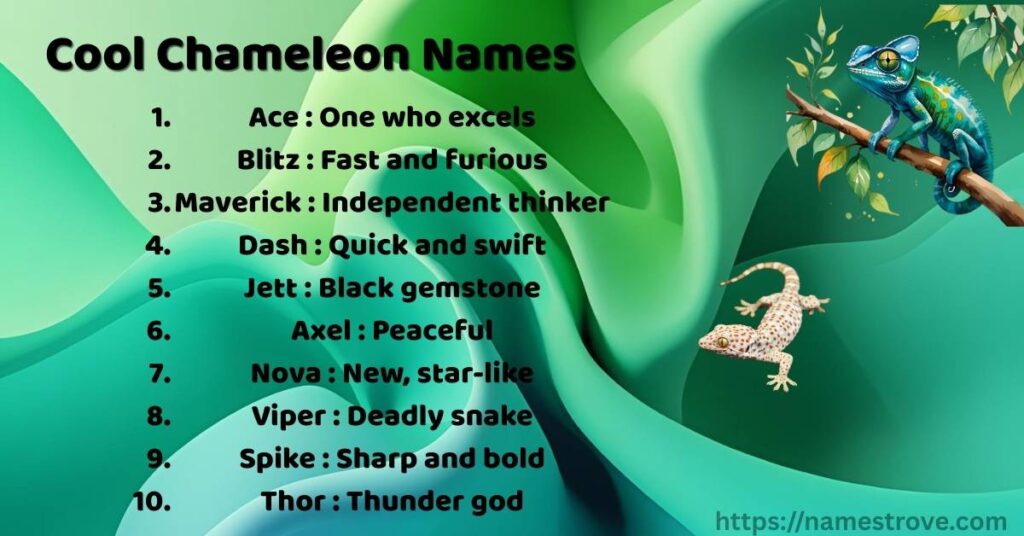 Cool Chameleon Names