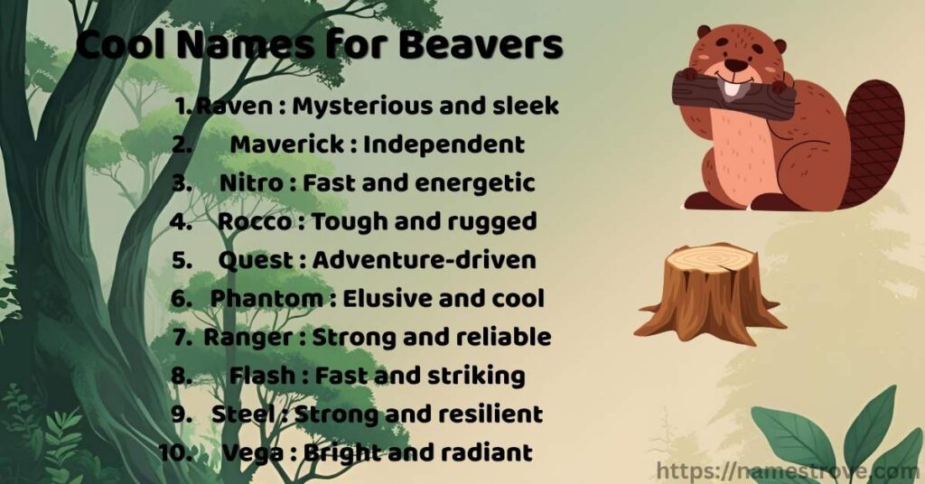 Cool Names for Beavers