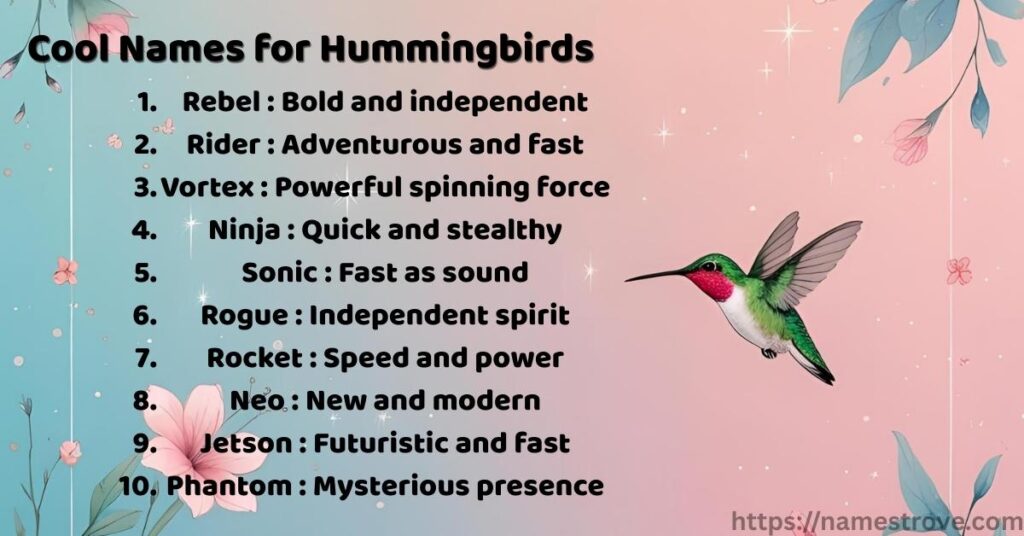 Cool Names for Hummingbirds