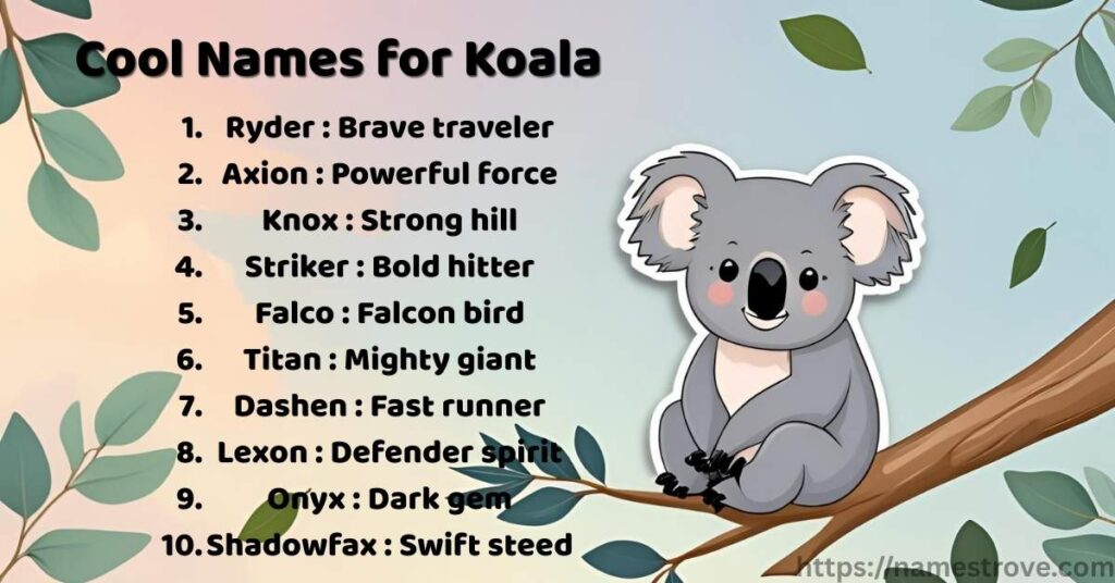 Cool Names for Koala