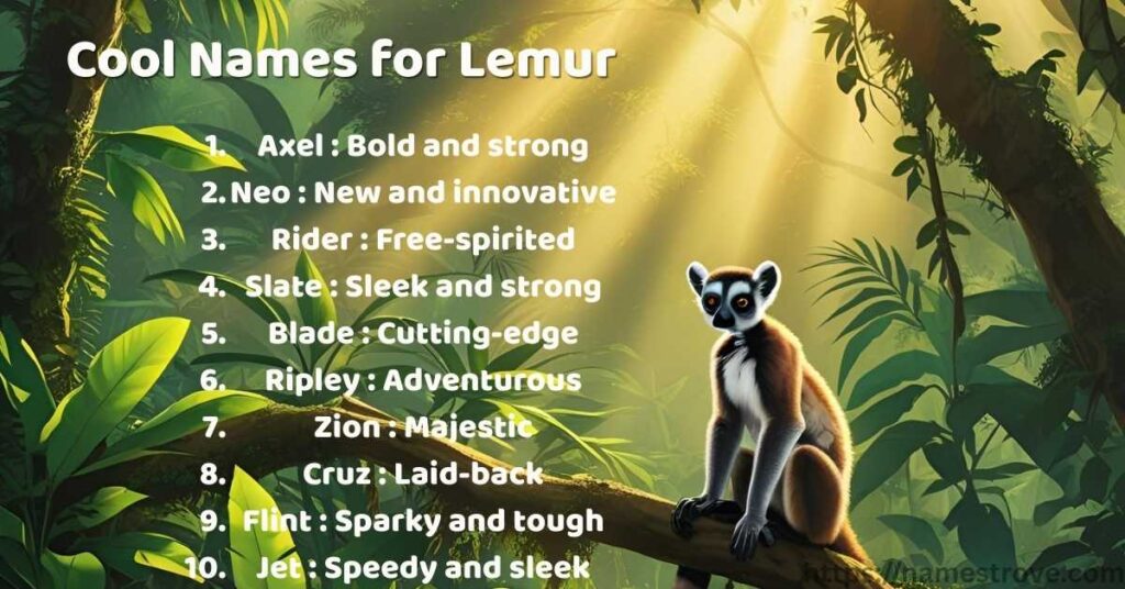 Cool Names for Lemur