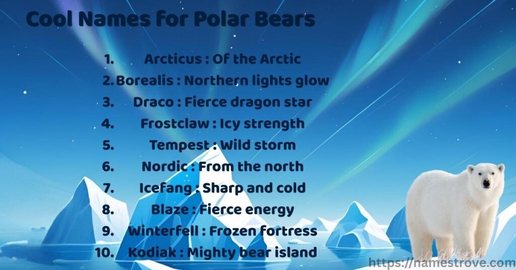 Cool Names for Polar Bears