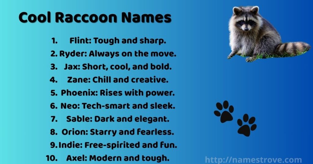 Cool Raccoon Names