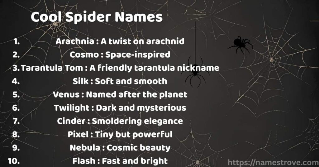 Cool Spider Names