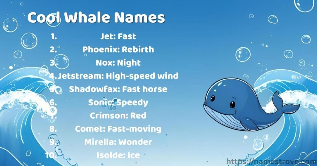 Cool Whale Names