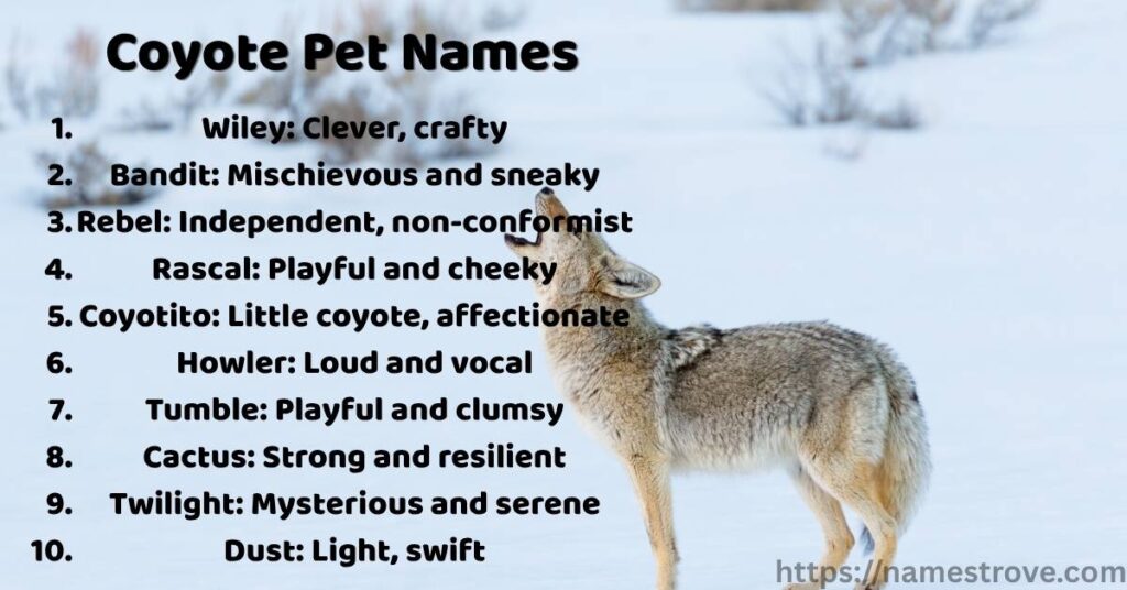 Coyote Pet Names