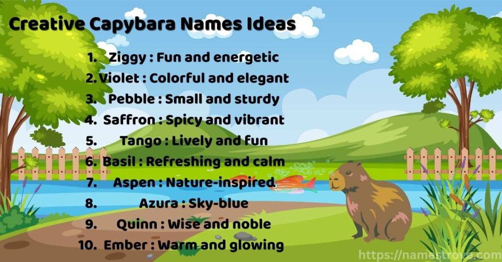 Creative Capybara Names Ideas