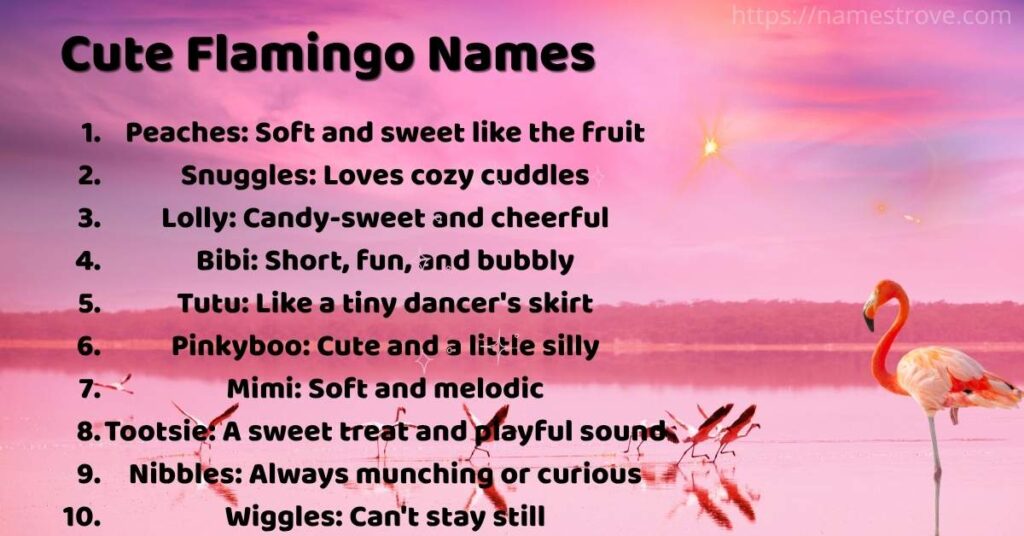 Cute Flamingo Names