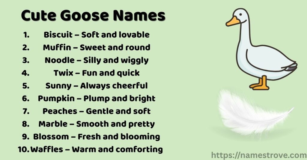 Cute Goose Names