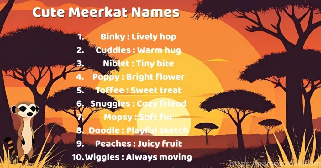 Cute Meerkat Names
