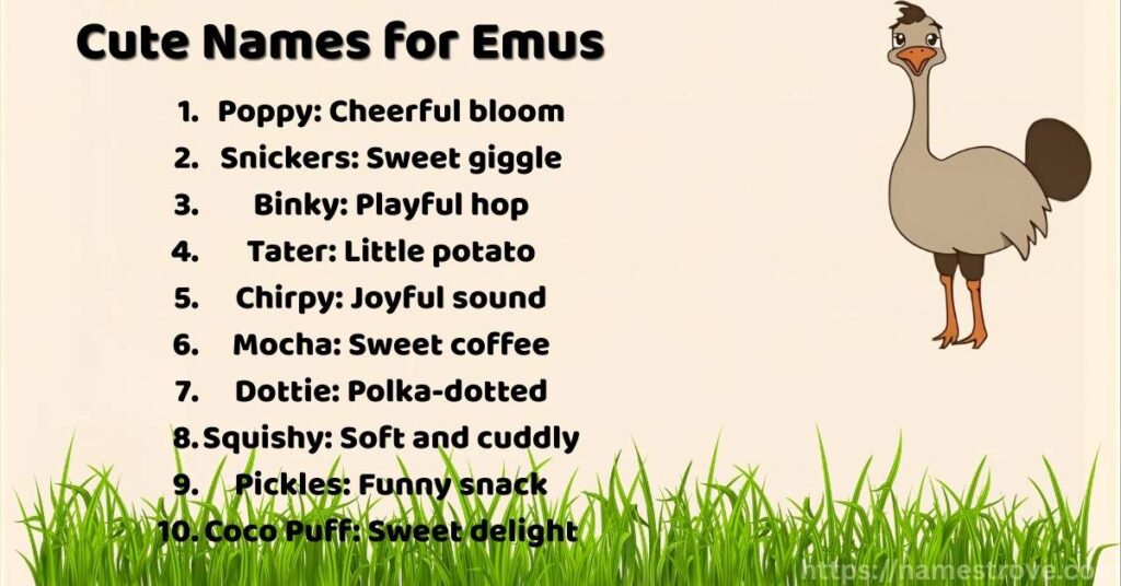 Cute Names for Emus
