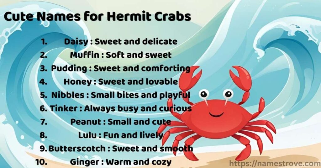 Cute Names for Hermit Crabs