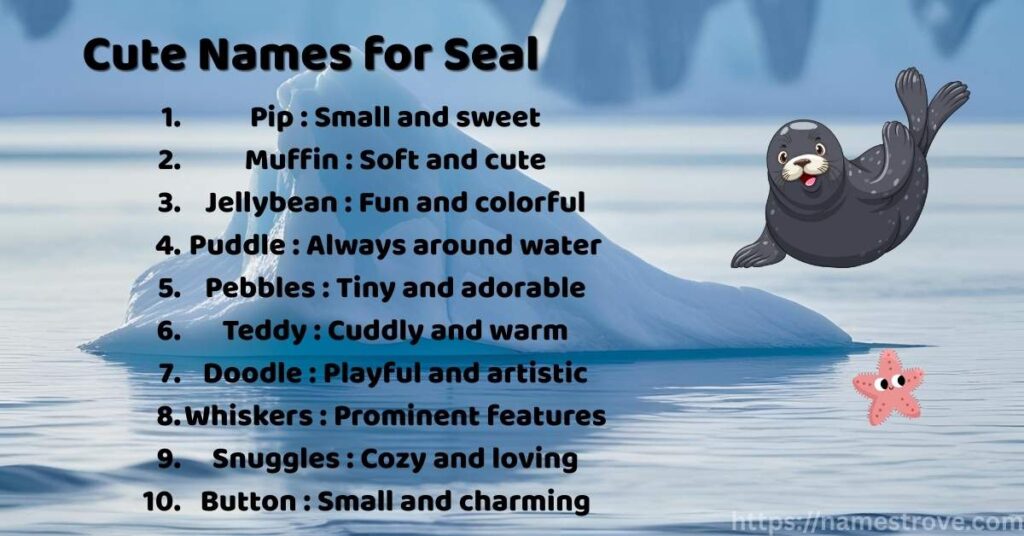 Cute Names for Seal